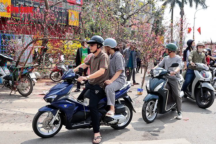 写真のキャプション