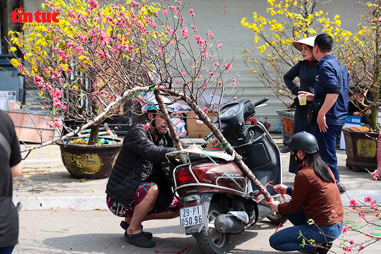 写真のキャプション