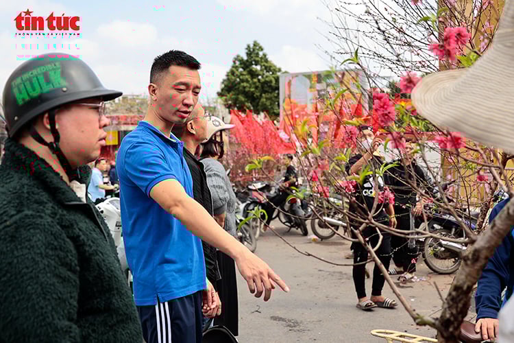 写真のキャプション