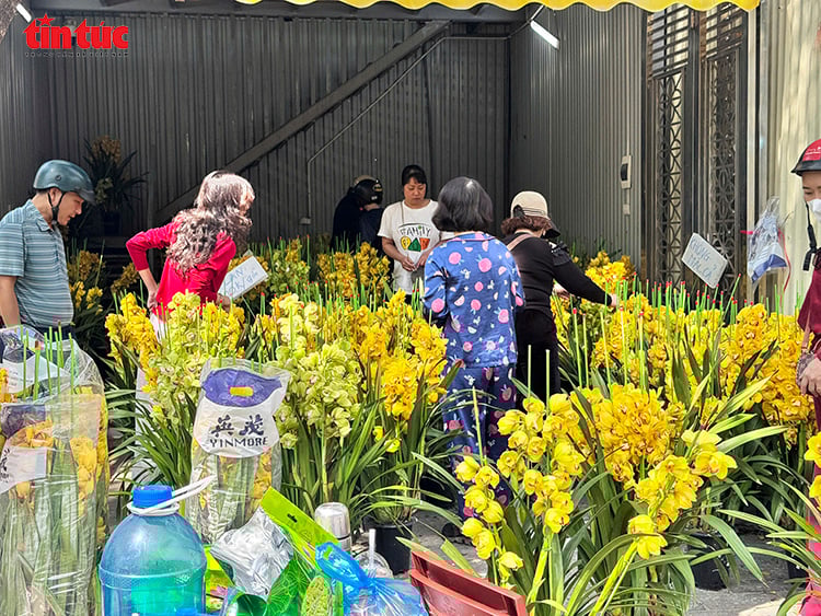 写真のキャプション