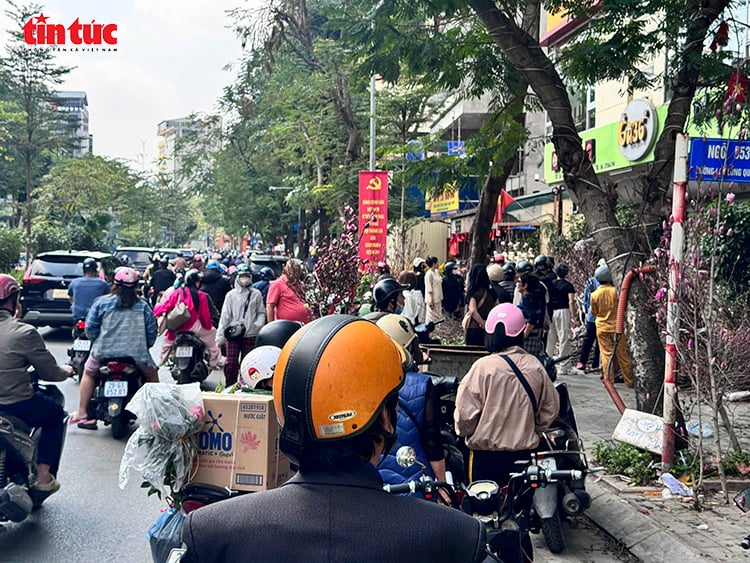 写真のキャプション