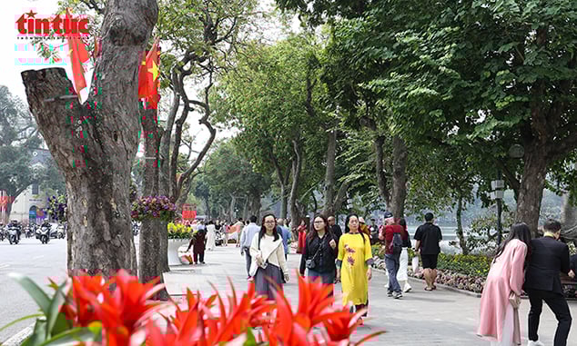 Légende de la photo