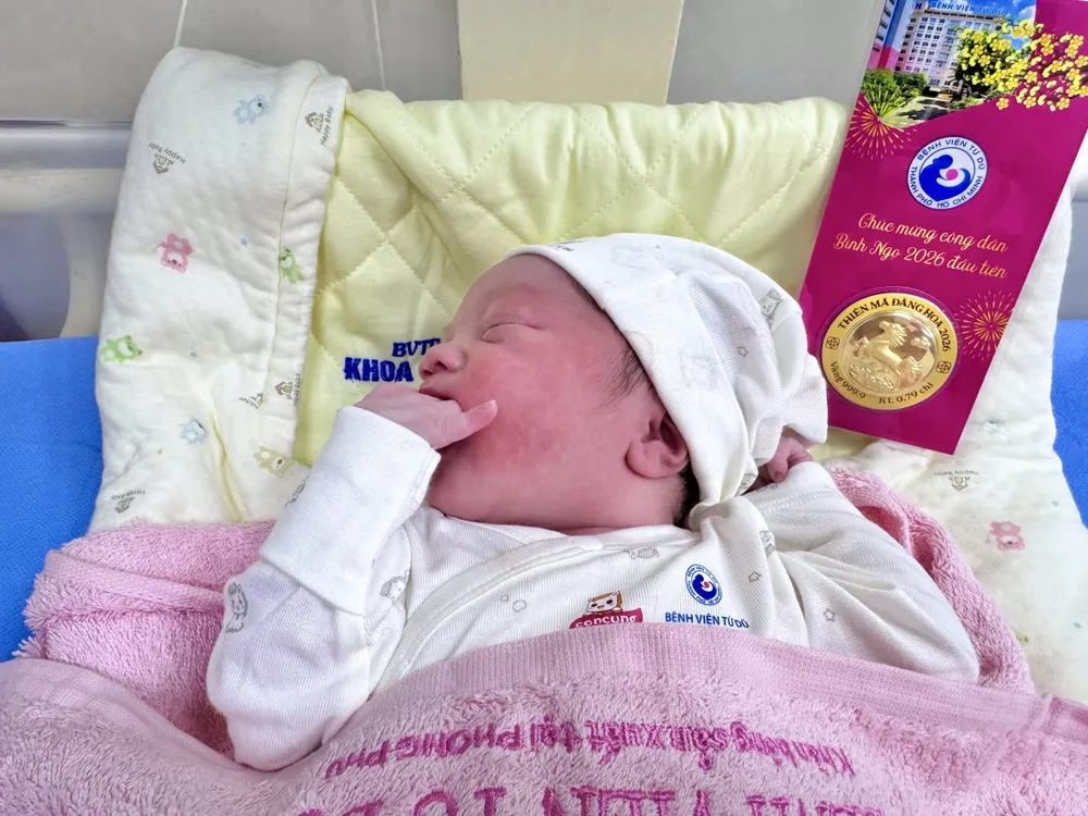 The baby, born on New Year's Eve at Tu Du Hospital, was given a 24K gold horse-shaped gift as a wish for good luck in its early life.