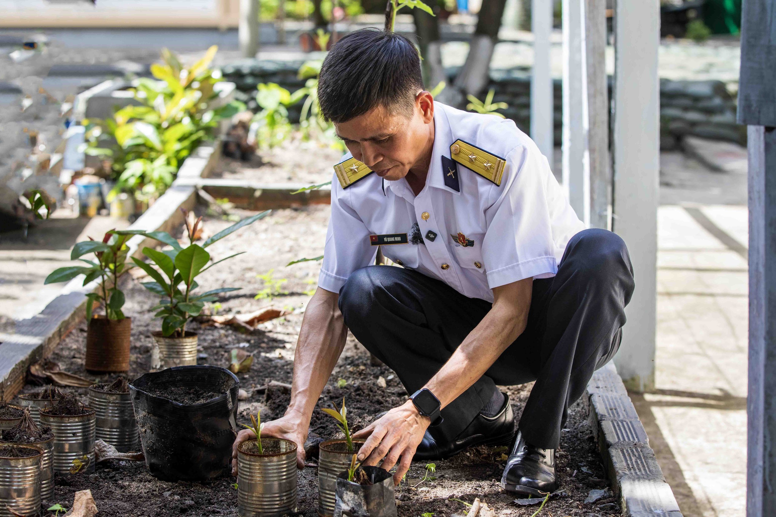 Tết ở Trường Sa - Kỳ 7: Ươm bàng vuông, Sinh Tồn xanh xanh- Ảnh 9.