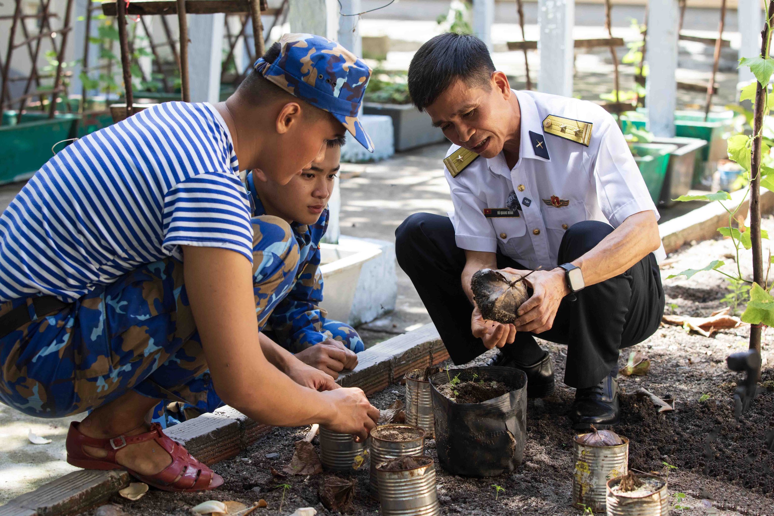 Tết ở Trường Sa - Kỳ 7: Ươm bàng vuông, Sinh Tồn xanh xanh- Ảnh 12.