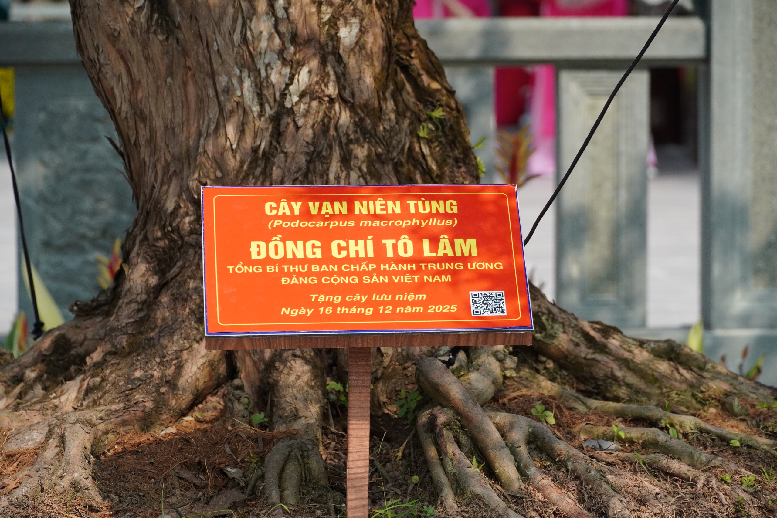 Những “địa chỉ đỏ” không thể bỏ qua khi đến Đồng Tháp - Ảnh 14.