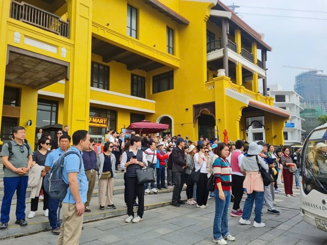 Due navi da crociera con a bordo quasi 2.400 turisti internazionali sono state le prime ad arrivare ad Ha Long - Foto 7. 2 du thuyền mang gần 2.400 khách quốc tế xông đất Hạ Long- Ảnh 7.