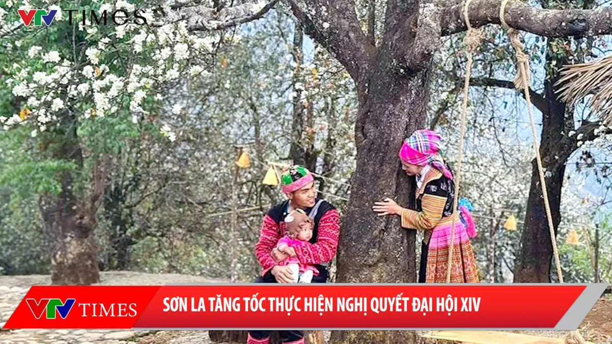 Sơn La tăng tốc thực hiện Nghị quyết Đại hội XIV - Ảnh 2.