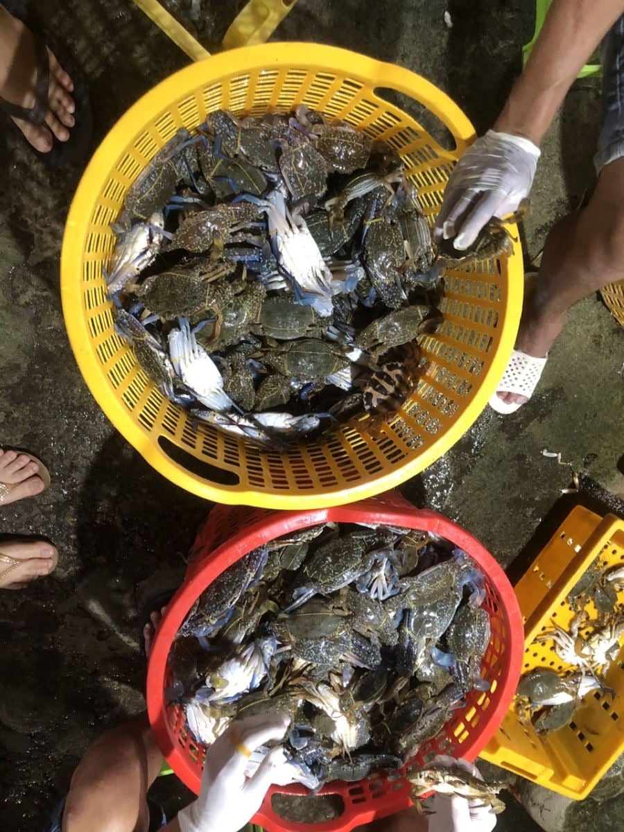 Подпись к фотографии