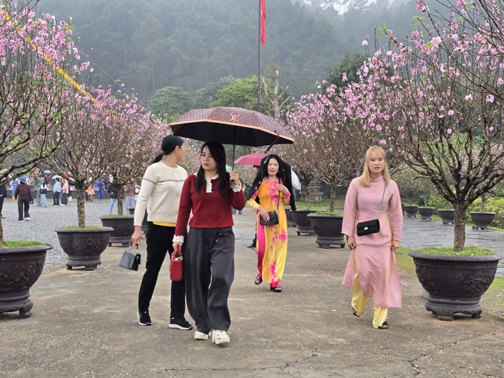 I visitatori sfidano la pioggia primaverile per ammirare il paesaggio presso la pagoda Dia Tang Phi Lai - foto 21