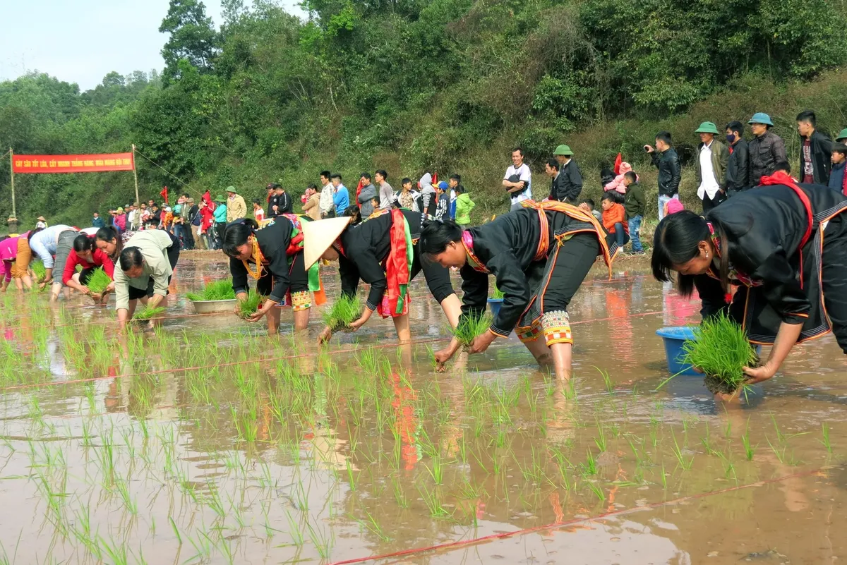 Xuân về trảy hội muôn phương- Ảnh 2.