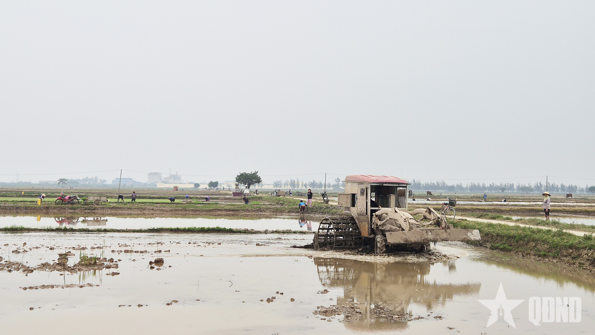 Er heerst een levendige sfeer op de velden.