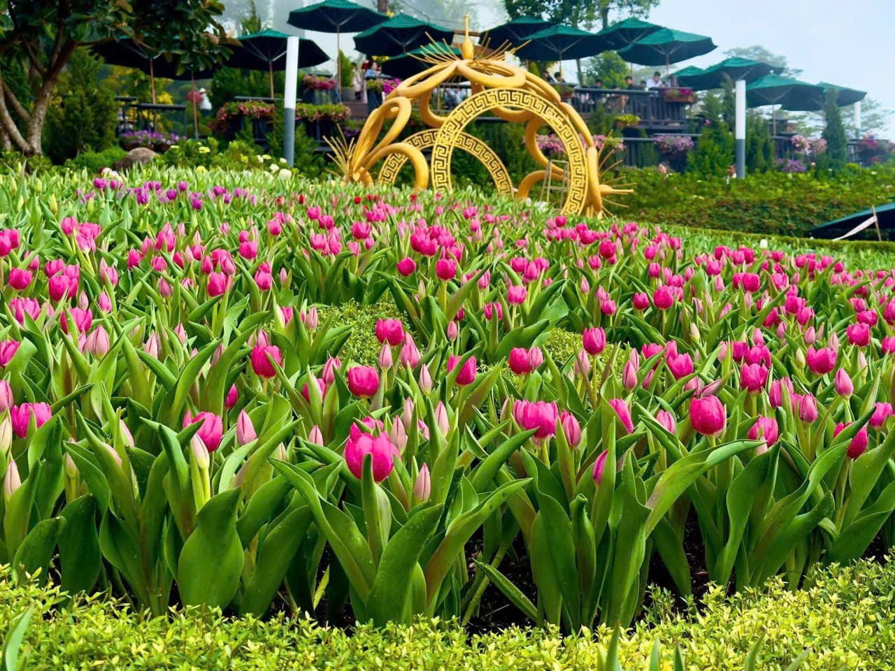 Núi Bà Đen đón lượng khách 