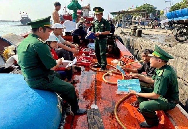 A Ly Son, nella provincia di Quang Ngai, le guardie di frontiera ispezionano e contrastano la pesca illegale, non dichiarata e non regolamentata (INN). (Foto: Lao Dong Newspaper)