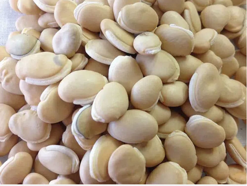 3 piatti medicinali per nutrire la milza e lo stomaco dopo il Tet - Foto 1. 3 món ăn bài thuốc giúp dưỡng tỳ vị sau Tết- Ảnh 1.