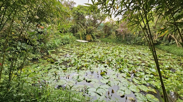 Dalat: Hledání stop starých zahrad - Foto 3.