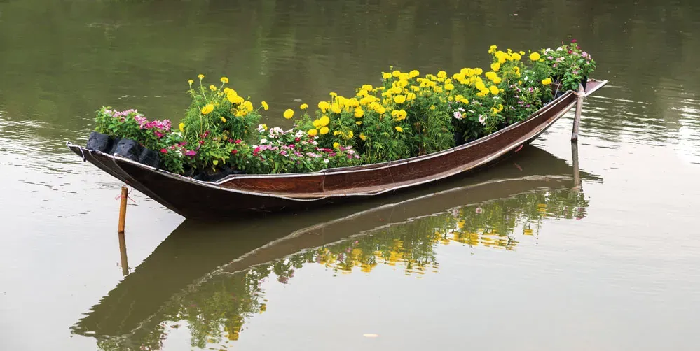thuyen-hoa-8409-3866.jpg