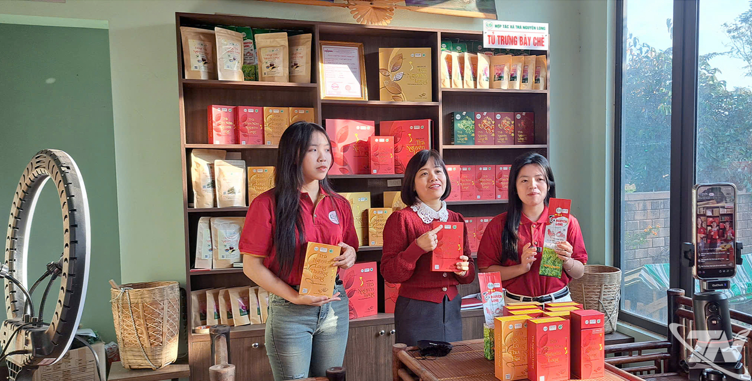 Along with selling traditional tea, Nguyen Long Tea Cooperative is actively leveraging digital platforms to promote its products and increase revenue.