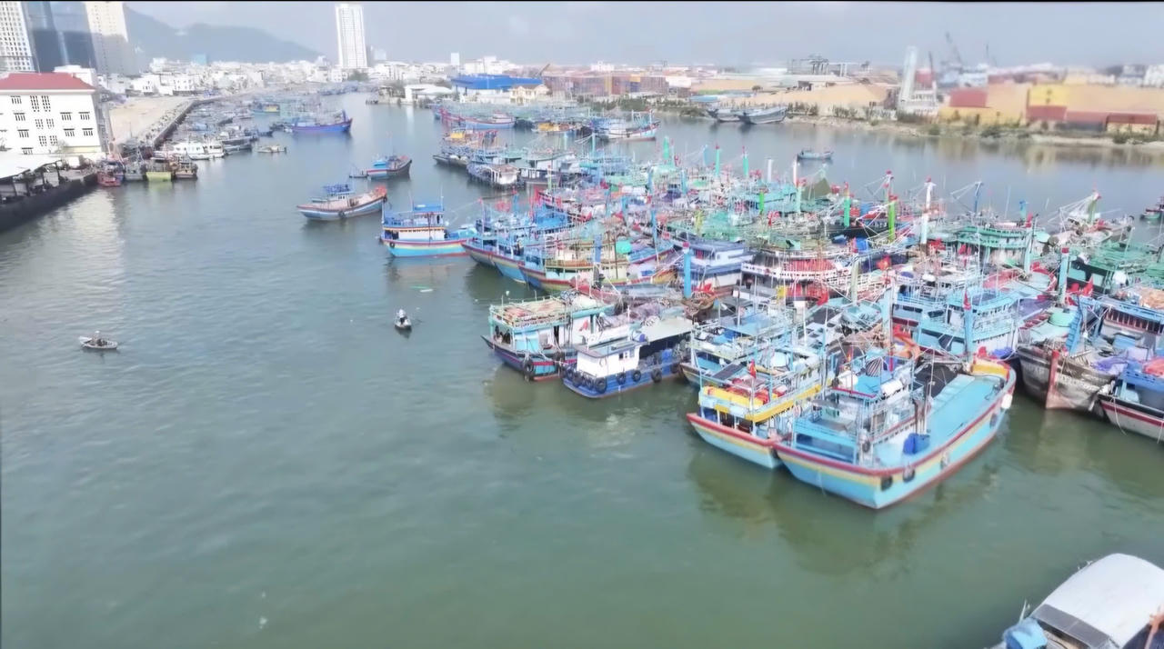 Migliaia di pescherecci sono radunati nel porto di Quy Nhon, pronti a salpare per le festività del Tet.