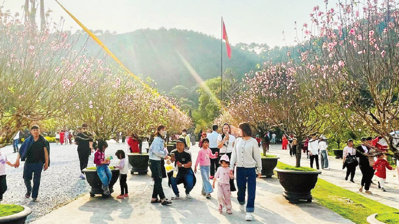 Pelancong melawat dan menikmati perayaan musim bunga di Pagoda Dia Tang Phi Lai Tu di Ninh Binh.