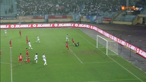 8.gif