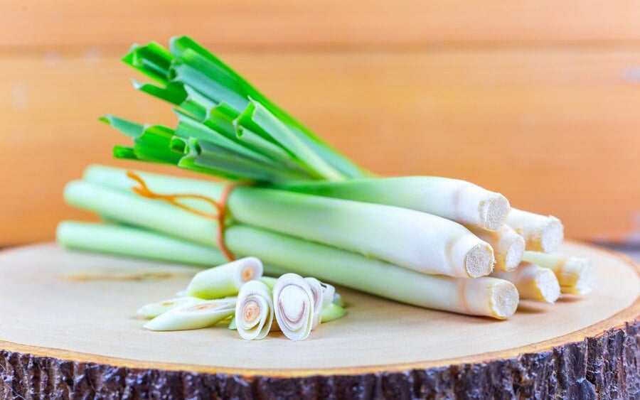 Củ sả chữa bệnh gì?- Ảnh 2.