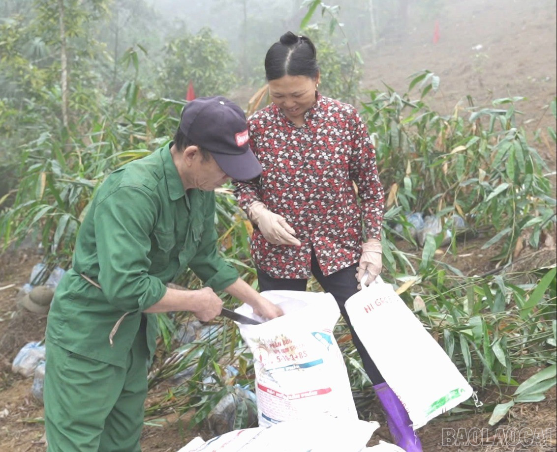 baolaocai-br_z7561871391948-10ab1647a85b5a05d587c3616fd0ff9f-847.jpg