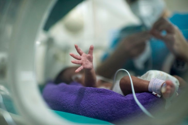 Những sinh linh bé nhỏ bắt đầu cuộc đời bằng một cuộc chiến - Ảnh 2.