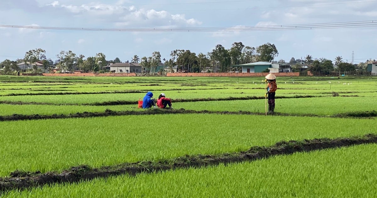 Aan het begin van het jaar trekken boeren vol enthousiasme naar de velden.