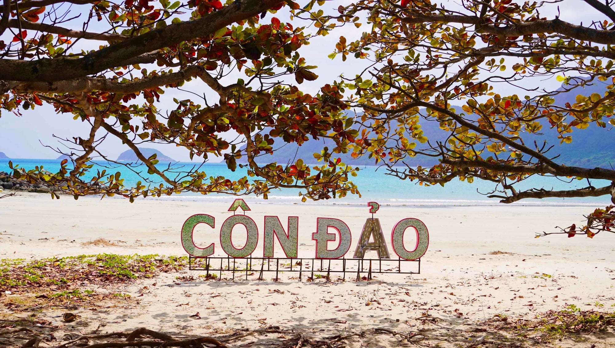 Con Dao entra nella sua