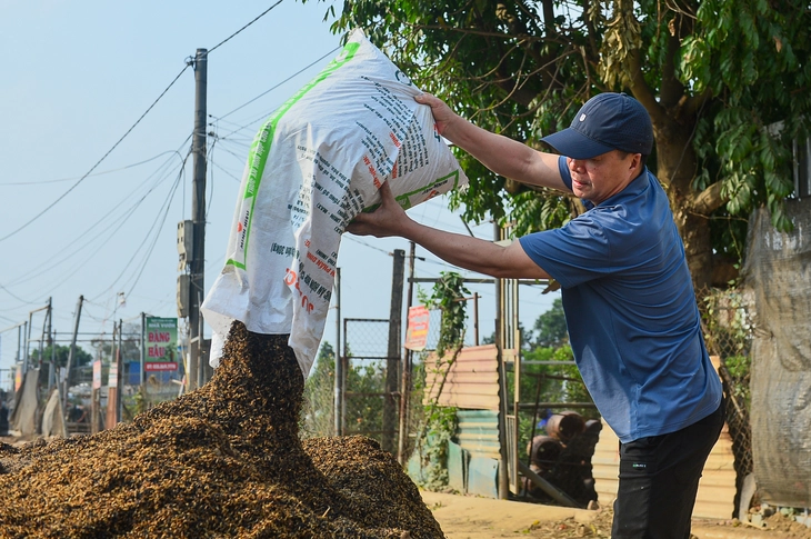 làng đào Nhật Tân - Ảnh 9.