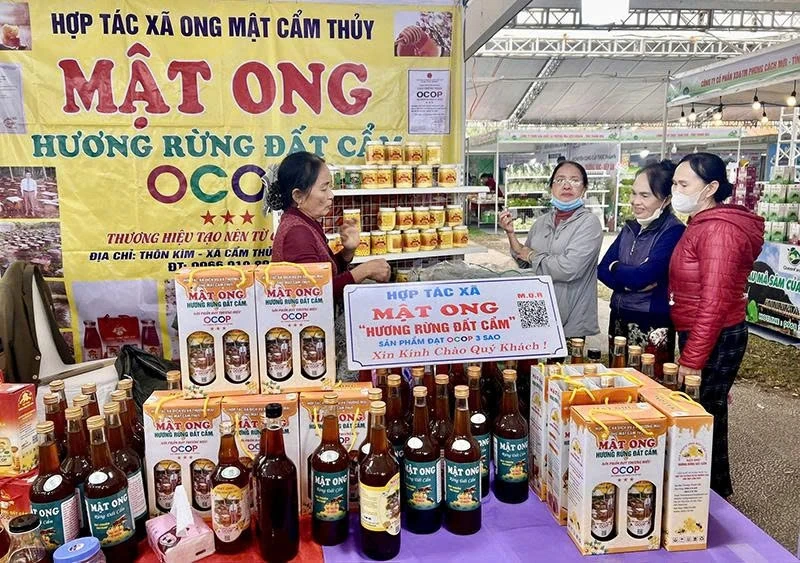 सहकारी समितियों को डिजिटल क्षेत्र में
