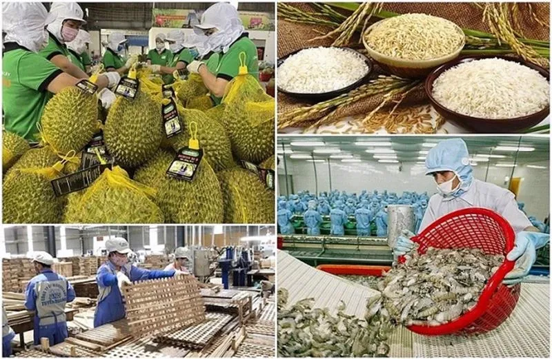 Xuất khẩu nông lâm thủy sản 2 tháng đầu năm 2026 tăng trên 17% - Ảnh 1.