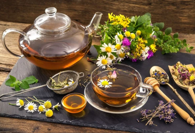 Vì sao trà thảo dược không thể thay thế được nước lọc?- Ảnh 2.
