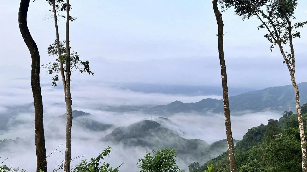 Montare una tenda per osservare le nuvole su una collina immersa nelle vaste foreste della provincia di Thanh Hoa. Dựng lều săn mây trên đỉnh đồi giữa đại ngàn xứ Thanh