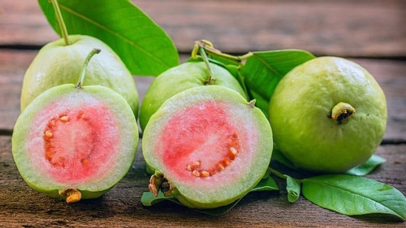 5 gruppi di persone che non dovrebbero mangiare la guava - Immagine 1. 5 nhóm người không nên ăn ổi- Ảnh 1.