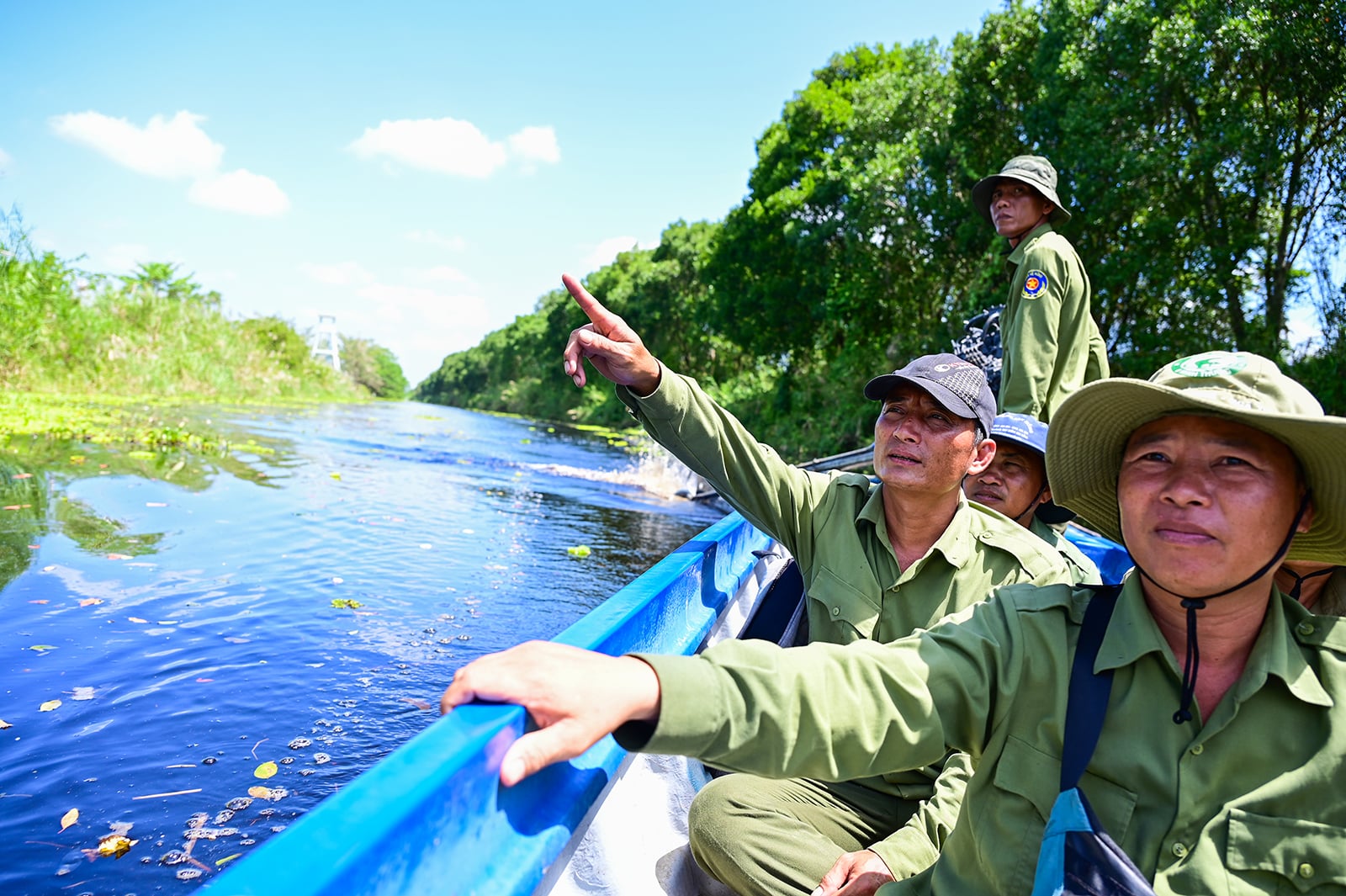 Skärpa åtgärderna för att förebygga skogsbränder.