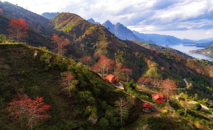 Con l'inizio di marzo, i fiori di kapok sbocciano a Son La quasi per magia. Basta una notte di vento secco di montagna e al mattino grappoli di fiori rosso vivo sbocciano contro il cielo azzurro intenso.