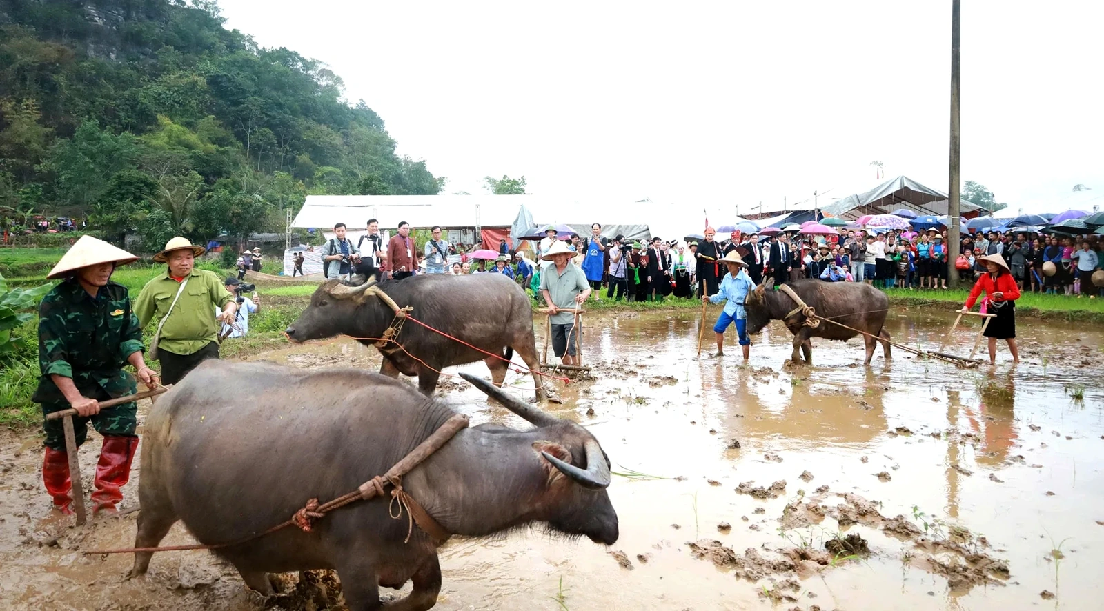 جشنواره بی‌نظیر مراسم افتتاحیه مونگ وانگ