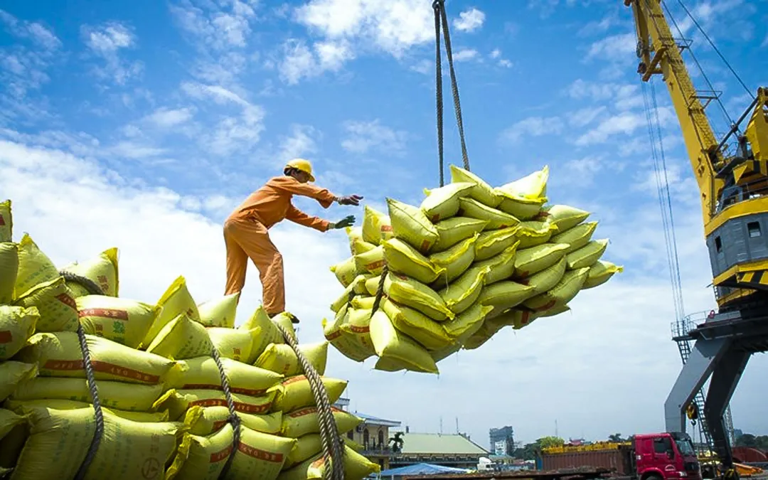 Xuất khẩu gạo Việt Nam tăng trưởng ổn định đầu năm 2026. Ảnh minh họa. 