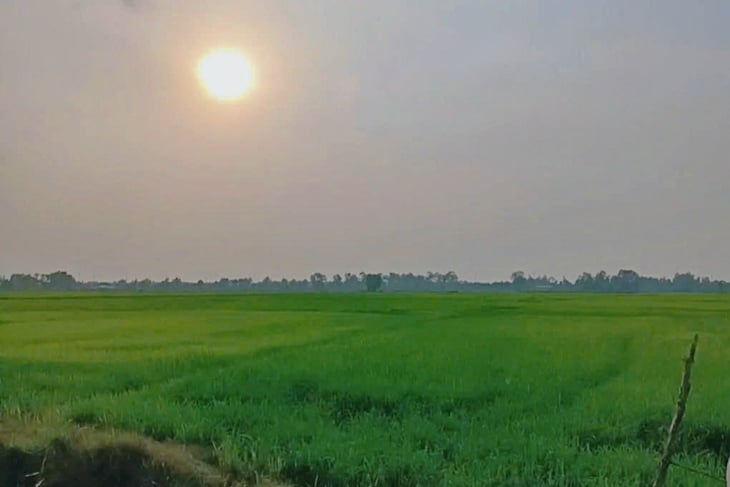 Xuan Thoi Son - Foto 3.