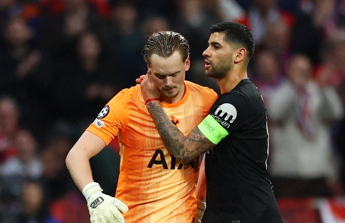 عکس شماره ۳ تاتنهام Tottenham anh 3