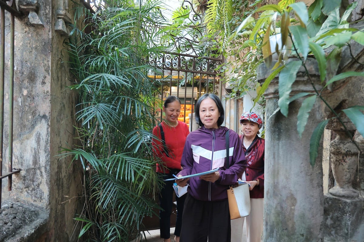 Mereka Những