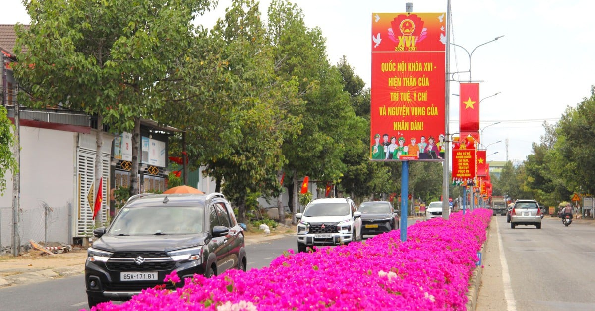 De weg in het oude hoogland van Ninh Thuan, omzoomd met felpaarse bougainvillea, betovert toeristen.