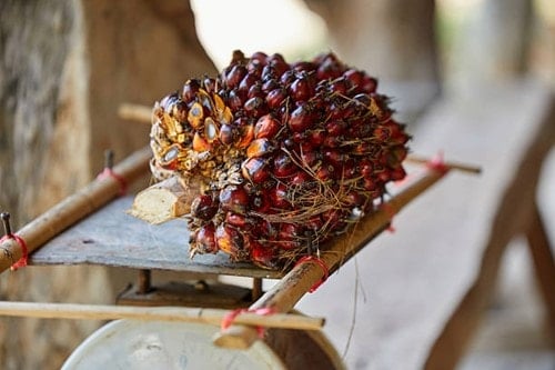 ລາຄານ້ຳມັນປາມໃນມາເລເຊຍໄດ້ບັນທຶກການເພີ່ມຂຶ້ນຂອງການຊື້ຂາຍໃນວັນທີ 12 ມີນາ.