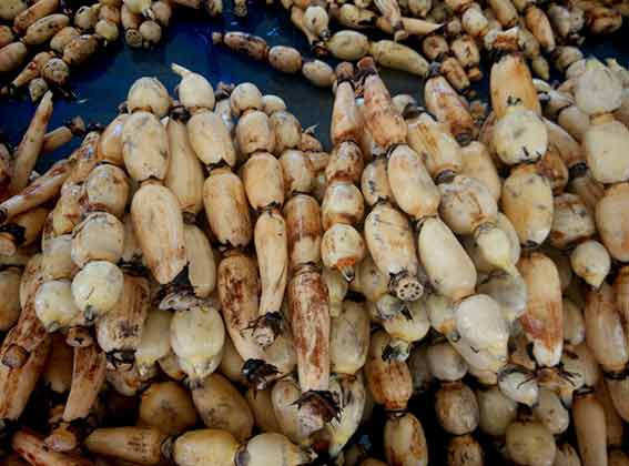 Loại rau dễ "ngậm" nhiều thuốc trừ sâu, ký sinh trùng - Ảnh 1.