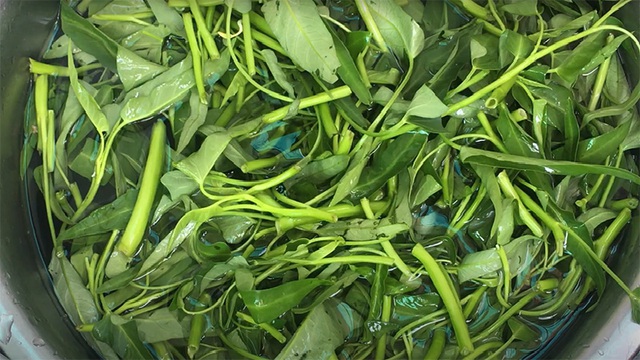 Loại rau dễ "ngậm" nhiều thuốc trừ sâu, ký sinh trùng - Ảnh 2.