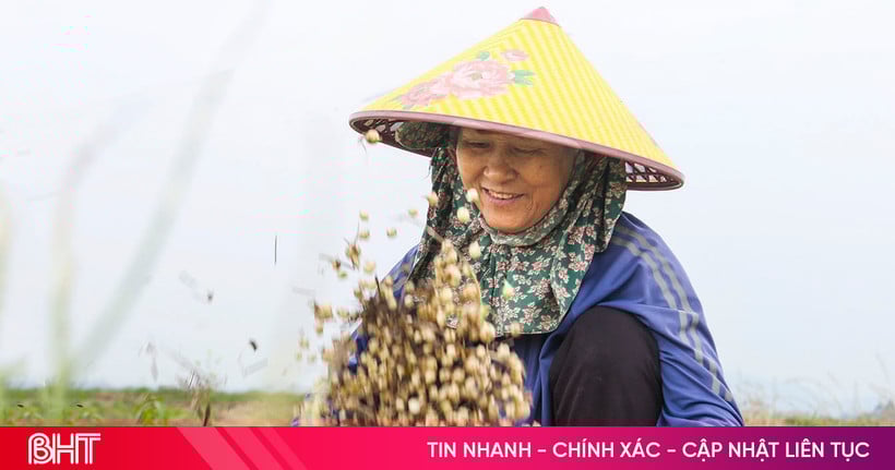 Kunnen boeren in Can Loc op hun velden 
