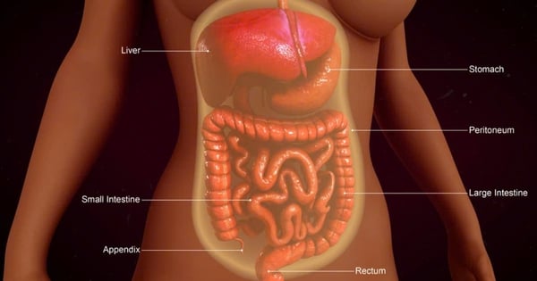 複雑性腹膜がんは増加傾向にあり、診断と治療の経験を共有するために専門家がシンガポールに集まっています。