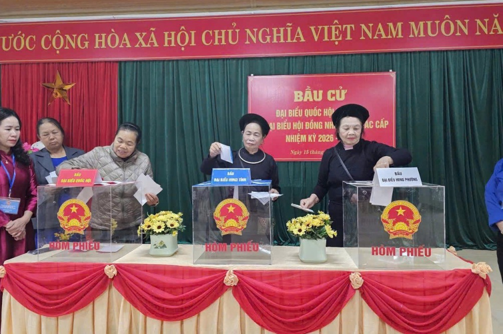 Gli elettori di Cao Bang hanno partecipato al processo di voto.